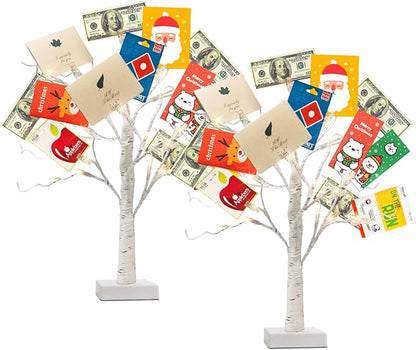 PABIPABI Money Tree Gift Holder, Set of 2 Birch Tree with 24 Clear Clips, Battery/USB Powered Timer Tabletop Trees for Home Party, Christmas, Wedding, Birthday Graduation (Warm White)
