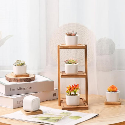 T4U 2 Inch Mini White Square Succulent Pots with Bamboo Trays, Mini Ceramic Planters for Tiny Cactus, Air Plants, Faux Plants – Gift for Plant Lovers, Desk & Home Decor (12 Pack)