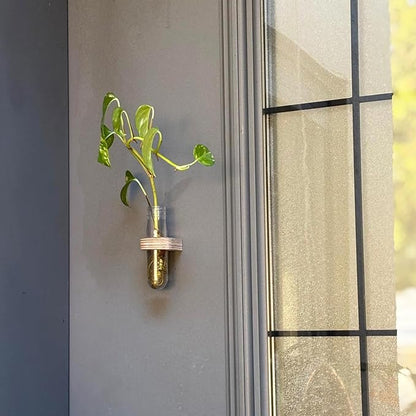 Magnetic Plant Propagation Stations – Set of 3 Single Vases for Indoor Hydroponic Flowers, Fridge or Entry Door Decoration(Set of 3 Single)