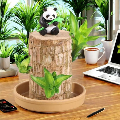 Brazilian Wood,Brazilian Lucky Wood Plant,Mini Sculpture Art,Suitable for Home, Outdoor, Office, Kitchen, Bedroom, Garden Decoration (red)