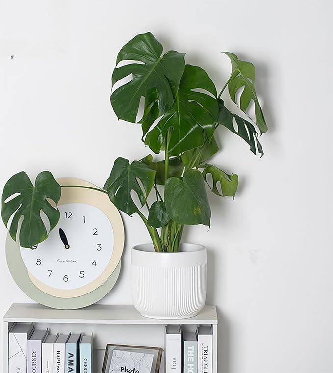 Ceramic 5.2+6.5 inch Planters, Modern Home and Office Flowerpot, Indoor and Outdoor Flowerpot with Drainage Hole (White)