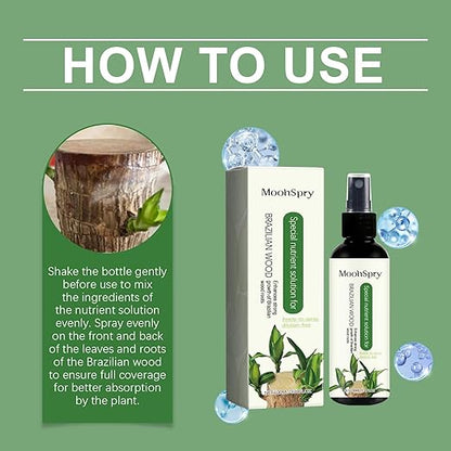 MoonSpry Brazilian lucky wood plant food, lucky bamboo liquid fertilizer,brazilian wood indoor houseplant fertilizer,bamboo indoor plant food,Fertilizantes de brasileña y árbol de la suerte,3pcs*100ml