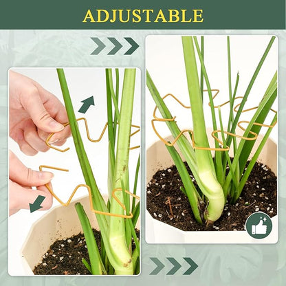 Plant Stem Support 2 Pack, Adjustable Metal Monstera Plant Support Small & Large, Unique Design Plant Supports for Indoor Plants Moss Pole Growth (Gold)