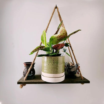 6 Inch Plant Pots, Ceramic Planter Pot with Drainage Hole & Saucer, Indoor/Outdoor Cylinder Round Planter Pot, Green & Beige