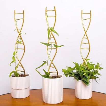 Plant Stakes for Indoor Plants,3 Pcs DNA Helix Metal Plant Trellis,Easy Installation and Durable Climbing Plant Holder,Potted Plant Holder Stakes for Garden,Yard,Balcony,Indoor & Outdoor Use