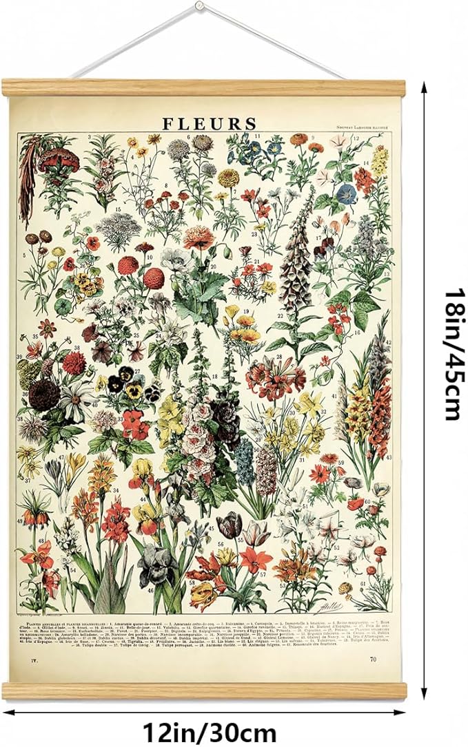 Vintage Flowers Poster Hanger Frame, Plant Floral Reference Chart Wall Decor Cottagecore Room Decor Aesthetic, Retro Style Wall Decor Art Painting Prints. (plant B, 18L x 12W)