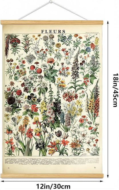 Vintage Flowers Poster Hanger Frame, Plant Floral Reference Chart Wall Decor Cottagecore Room Decor Aesthetic, Retro Style Wall Decor Art Painting Prints. (plant B, 18L x 12W)