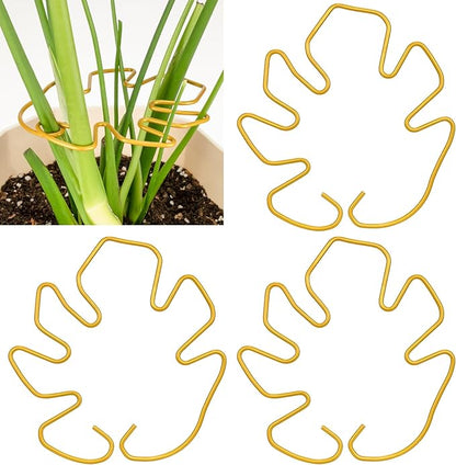 3PCS Monstera Plant Support, Metal Plant Supports Plant Stem Holder Plant Support Ring Stabilizer Durable for Climbing Plants Indoor Outdoor Moss Pole (Gold)