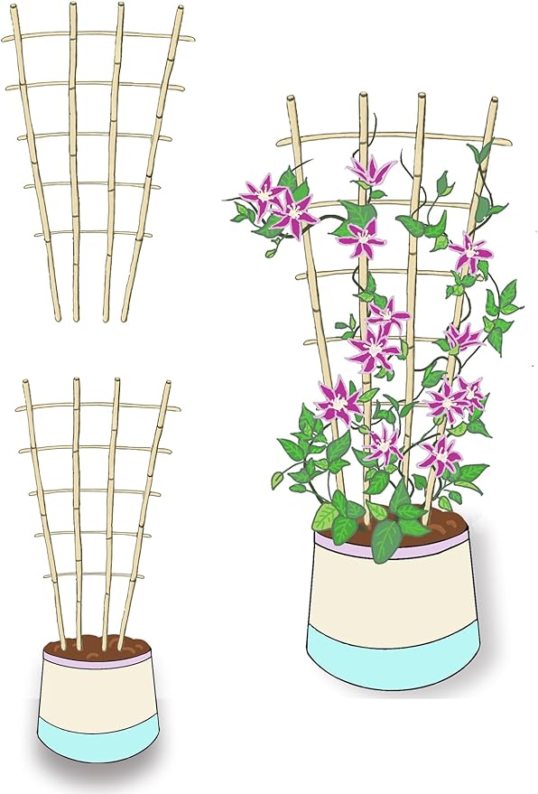 Natural Bamboo Trellis, 4Feet,6Pack,Fan-Shaped Plant Support Trellis for Outdoor and Indoor Potted Climbing Plants,Vegetables, Cucumber, Tomato, Hoya,