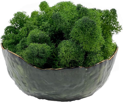 Moss Preserved Moss for Potted Plants Natural Fresh Green Reindeer Moss for Craft Arts Floral Wall Decor Decor Wedding Centerpieces Garden Artificial Terrariums Decoration for Christmas(Green) 3.5OZ