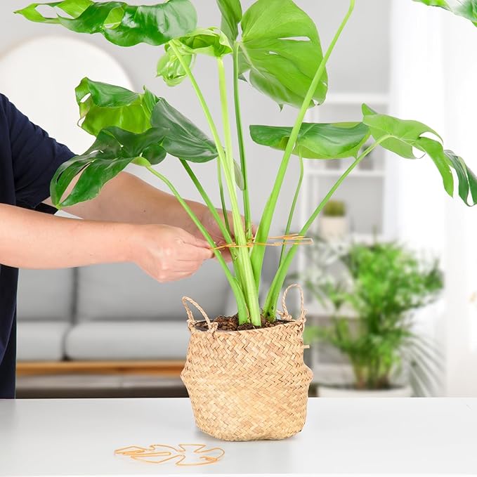 Plant Support Clips - 5-Pack of 7.52x6.65 Inch Indoor plant stabilizer for Vines,Monstera, Pothos & Philodendron | plant stem support,Durable Trellis Accessories for Gardening