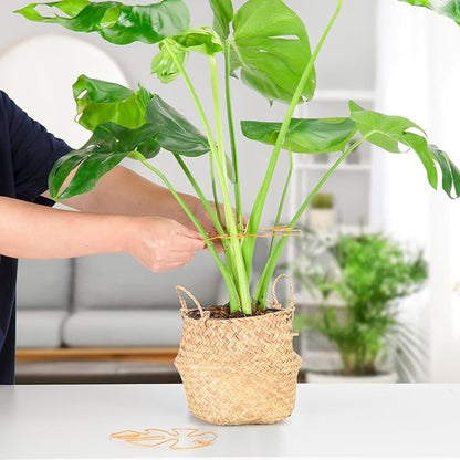 Plant Support Clips - 5-Pack of 7.52x6.65 Inch Indoor plant stabilizer for Vines,Monstera, Pothos & Philodendron | plant stem support,Durable Trellis Accessories for Gardening