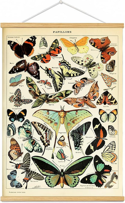 Vintage Flowers Poster Hanger Frame, Plant Floral Reference Chart Wall Decor Cottagecore Room Decor Aesthetic, Retro Style Wall Decor Art Painting Prints. (butterfly N, 29L x 20W)