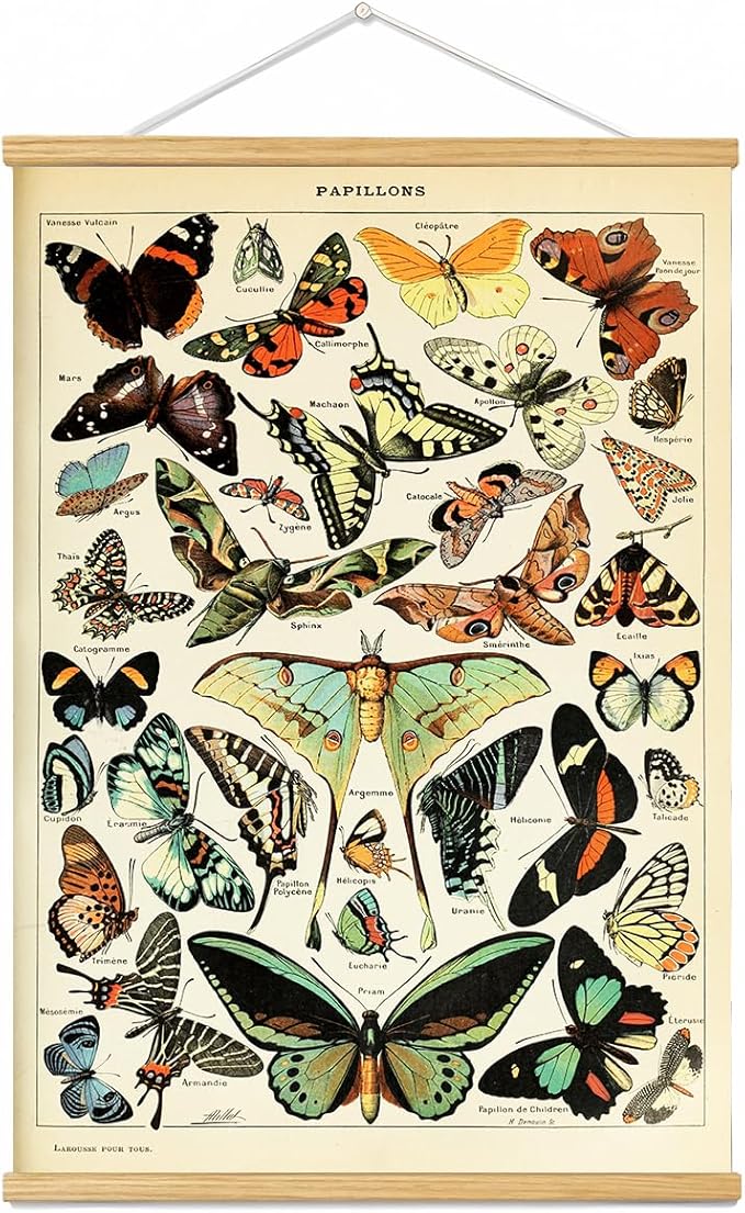 Vintage Flowers Poster Hanger Frame, Plant Floral Reference Chart Wall Decor Cottagecore Room Decor Aesthetic, Retro Style Wall Decor Art Painting Prints. (butterfly N, 24L x 16W)
