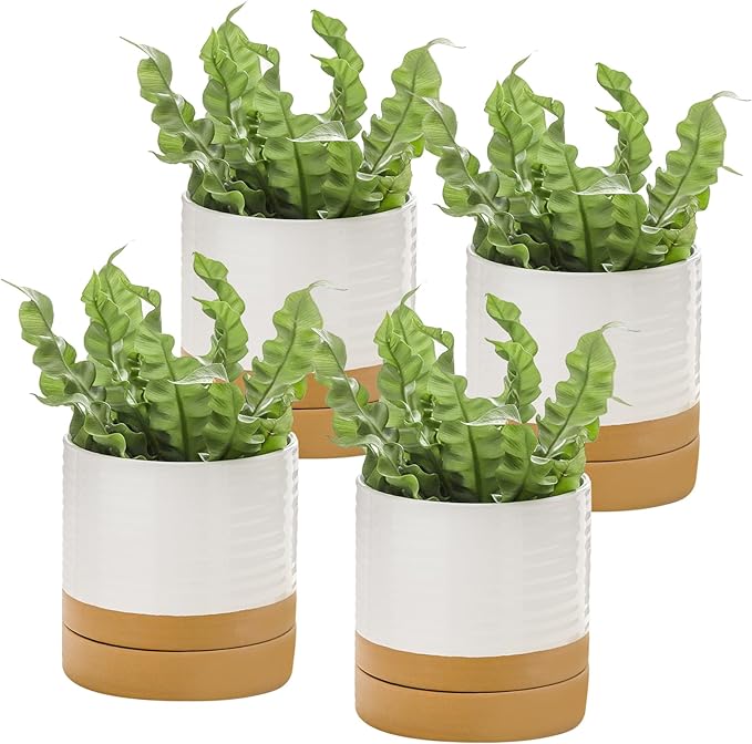 HASENSE 4.6 Inch Plant Pots, Ceramic Flower Pots for Indoor Plants, Small White Planter with Drainage Hole and Saucer, Cute Mini Windowsill Tabletop Decor, Set of 4