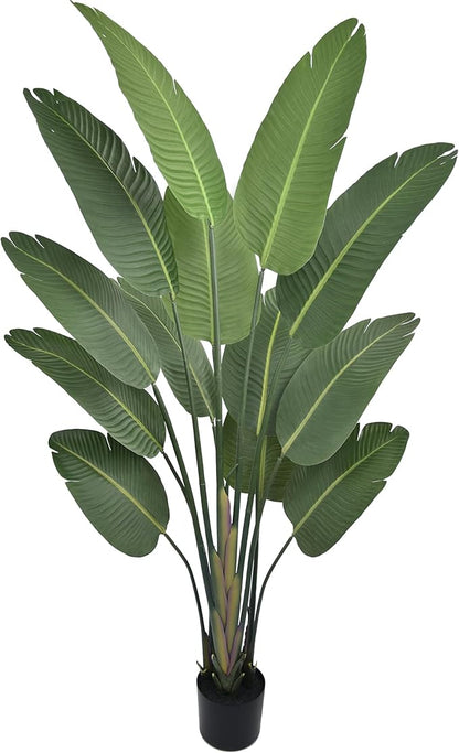 Artificial Bird of Paradise Tree 6FT with 13 Leaves Realistic Thick Banana Leaf Tall Large Faux Tropical Plant 70 Inch Black Pot for Indoor Home Office Poolside Porch Mall Hotel School Decor