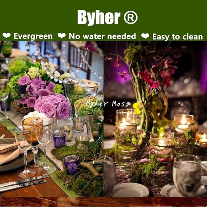 Byher 92926 Preserved Forest Moss, Fresh Green (8OZ)