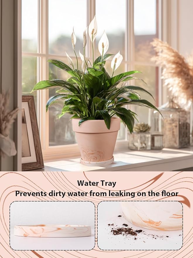 INGOFIN Terracotta Plant Pots 8 Inch Set of 2, Red White Clay Flower Pots with Drainage Holes & Tray Saucers, Breathable Garden Planters for Indoor Outdoor, Succulent, Cactus, Herbs