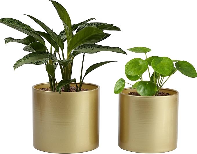 Vixdonos Metal Flower Pots Garden Planters Indoor Round Succulent Containers, Pack 2 Cactus Plant Pots with Drainage Hole (5.9inch+6.7inch, Gold)
