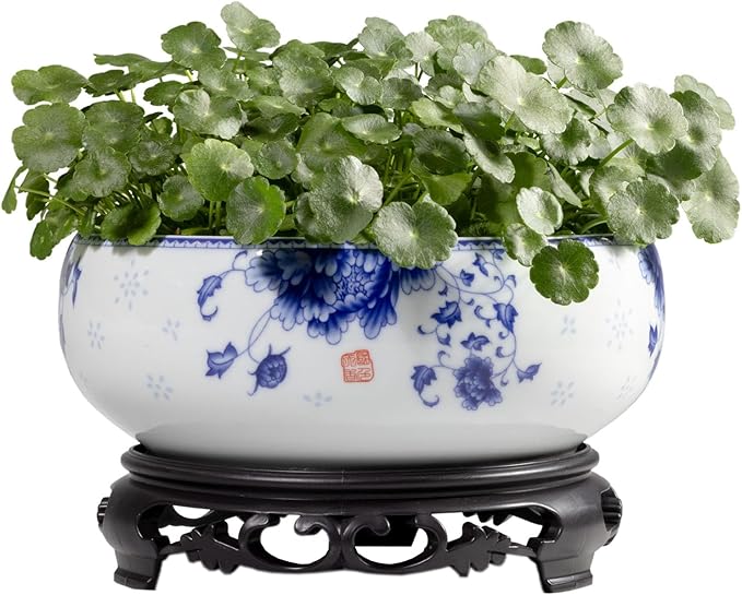 TOIVO Lotus Bowl Planter, Coarse Pottery Water Lily Flower Pot with Plastic Base, 7.8 inches (A-3)