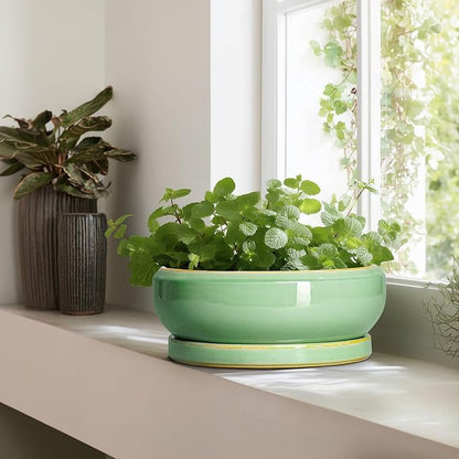Large Bonsai Pots - 13 Inch Ceramic Succulent Pots for Indoor Outdoor, Ceramic Planter with Drainage Hole and Saucer, Shallow Round Planter, Garden Decor, Gifts for Women Men, Light Green