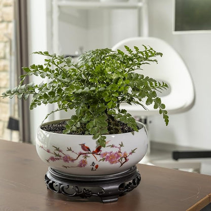 TOIVO Lotus Bowl Planter, Coarse Pottery Water Lily Flower Pot with Plastic Base, 7.8 inches (A-1)
