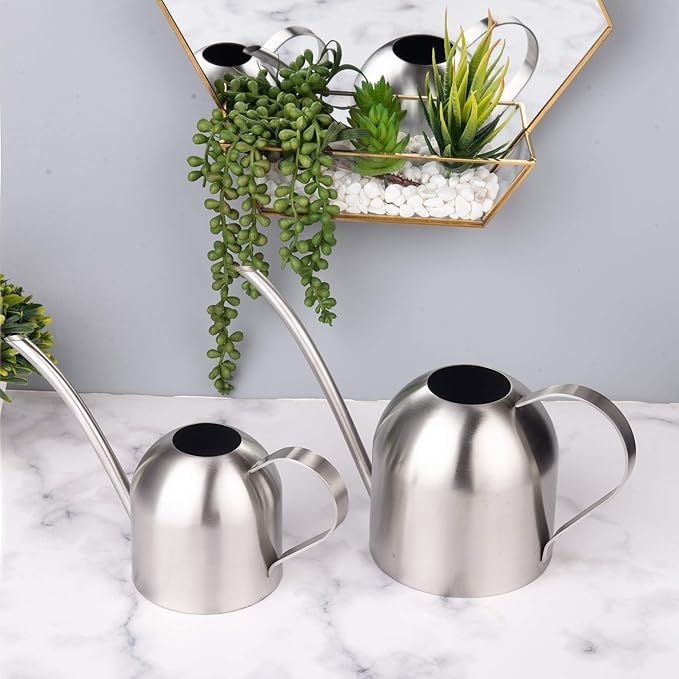 IMEEA Indoor Watering Can for House Plants Stainless Steel Watering Can Metal with Long Spout (33oz/1L)