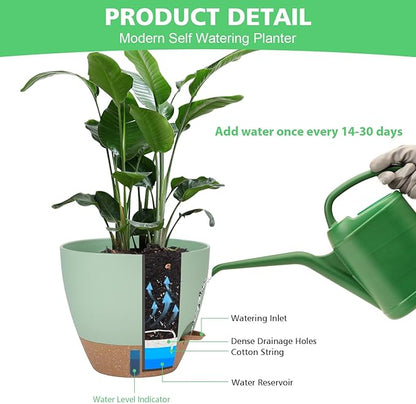 Self Watering Planter Set with Visual Water Level, 6Pack Small Plastic Pot with Drainage Holes and Reservoir Saucers, Modern 8+7+6.5+6+5.5+5 Inch Bottom Watering Flower Pots for Indoor Plant - Green