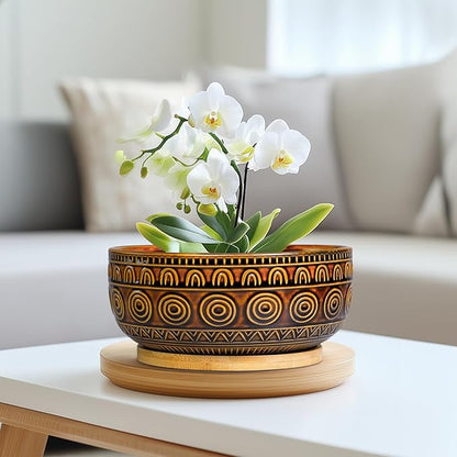 Bonsai Pots 8 Inch - Ceramic Succulent Planters for Indoor Plants, Shallow Plant Pots with Drainage Hole and Saucer, Boho Round Planter Bowl, Office Decor, Brown