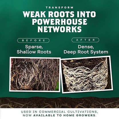 DYNOMYCO Granular Mycorrhizal Fungi Inoculant, 340g / 12oz – Boosts Root Growth, Yields & Nutrient Uptake – 900 Propagules/g, Concentrated Granules, & OMRI Listed – Biofertilizer for Plant Growth