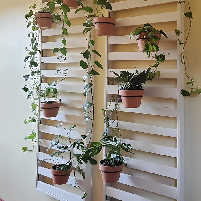 Plant Holder Ring 8 Inch Wall Mounted, 6 Pack Flower Pot Hangers Metal Plant Stand Hanging Bracket Basket Hooks