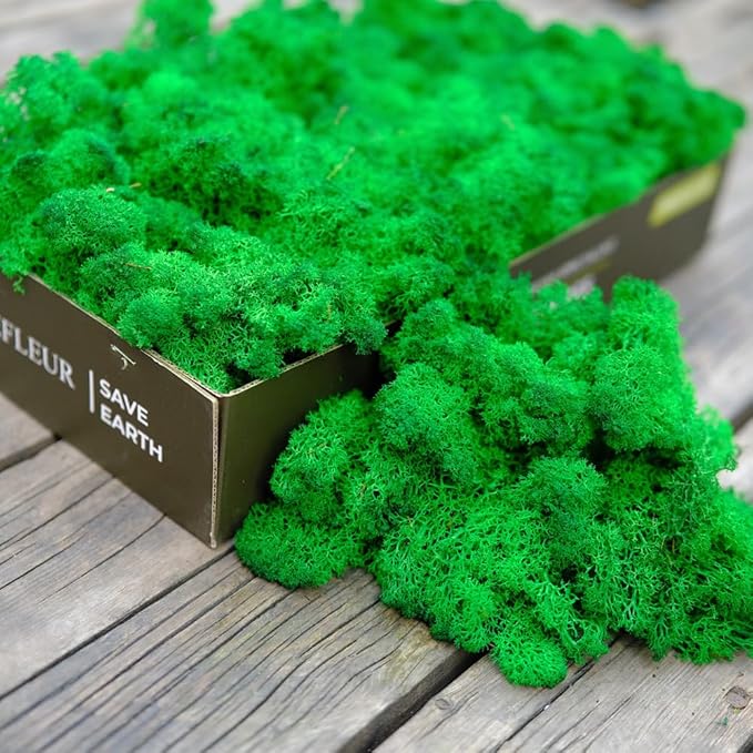 Preserved Reindeer Moss Natural Green DIY Kit Gardenning Art Wall Decor Florist Decor Easter Table Decor Wedding