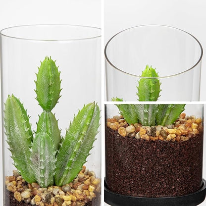 Artificial Succulent in Cylindrical Glass Vase Small Fake Cactus Plant with Modern Glass Terrarium Faux Plants Indoor Gift for Plant Lover Decor for Home Office Table Desk Shelf