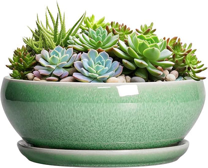 SQOWL Succulent Planter 12 Inch - Ceramic Bonsai Pots with Drainage Hole and Saucer, Large Shallow Planter, Bowl Round Planter for Indoor Outdoor Plants Flower, Room Decor, Birthday Gifts, Green