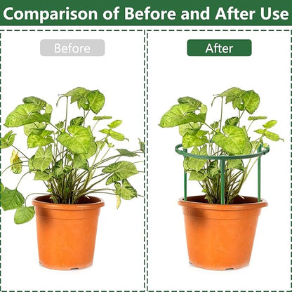 36Packs Plant Support Stake Half Round Plant Support for Indoor Plants, Stackable 3 Tier Garden Flower Support, Plant Rings for Tomato,Monstera, Peony, Hydrangea, Climbing Plants