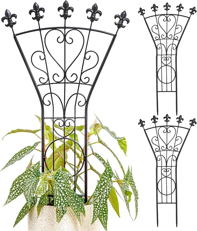 Heavy Duty Trellis for Potted Plants, 3-Pack, 24x12 Inches Elegant Metal Climbing Support for Monstera and Small Houseplants, Perfect Indoor & Outdoor Decoration for Home Garden and Balcony