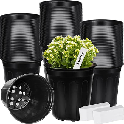 200 Pcs 1 Gallon Plastic Plants Nursery Pot with 200 Plant Labels Seed Starting Pots Plastic Pots with Drainage Hole for Seedlings, Cuttings, Transplanting (200, 1 Gallon)