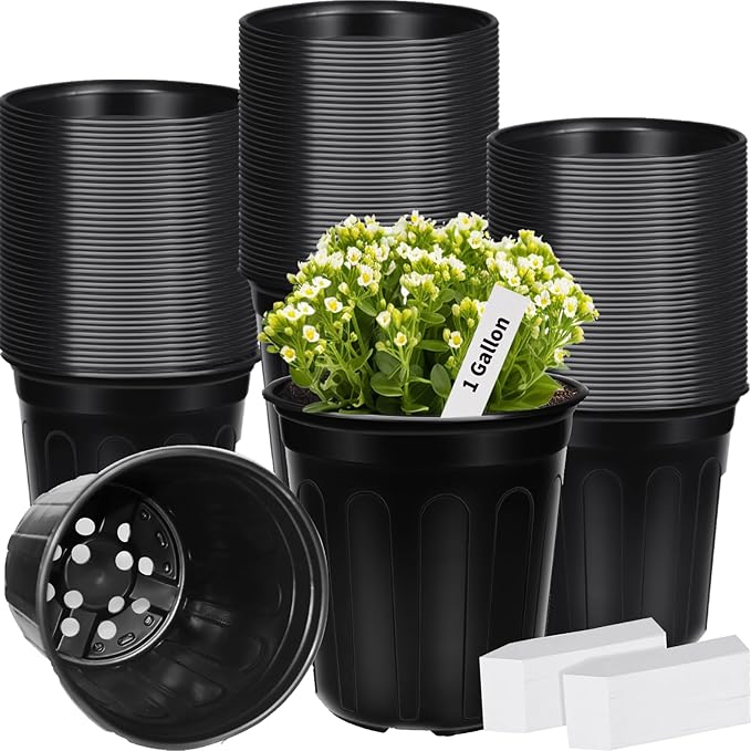 100 Pcs 1 Gallon Plastic Plants Nursery Pot with 100 Plant Labels Seed Starting Pots Plastic Pots with Drainage Hole for Seedlings, Cuttings, Transplanting (100, 1 Gallon)