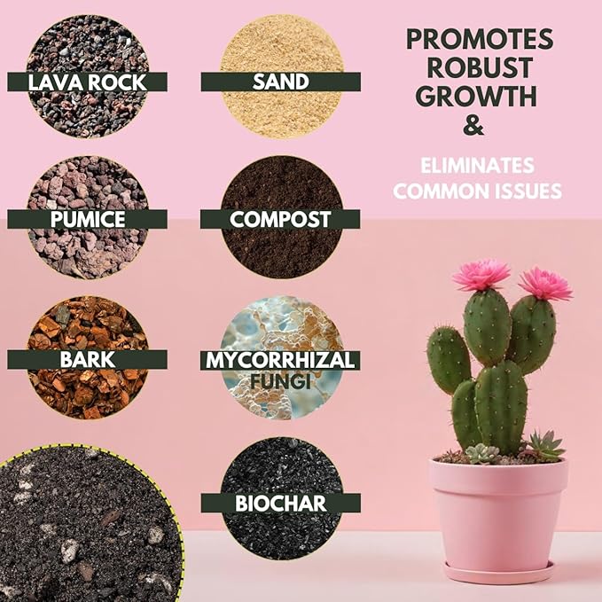 Cactus & Succulent Potting Mix - 5 Qt/8 Lbs Premium Gritty Fast Draining Soilless Potting Mix for Cactus, Succulents, Jade, Aloe Vera - Healthy Roots - Made in USA