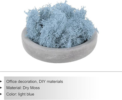 MECCANIXITY 3.5 OZ Moss Fake Craft Moss Artificial Moss Natural Preserved Moss for Craft Arts Floral DIY Project Wall Wedding Garden Patio Table Terrariums Decoration(Light Blue)
