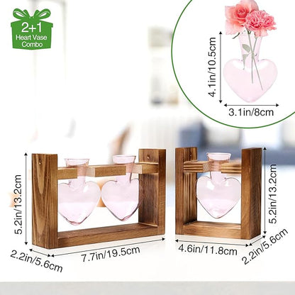 2+1 Plant Terrarium Plant Propagation Station Birthday Gifts for Women Home Office Decor with Wooden Stand
