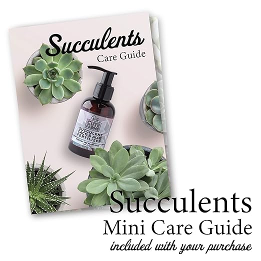 Cute Farms Succulent, Cacti, & Aloe Fertilizer | Gentle Monthly Use Formula Plant Food (Three - 8 oz. Bottles)