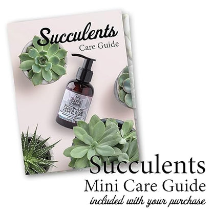 Cute Farms Succulent, Cacti, & Aloe Fertilizer | Gentle Monthly Use Formula Plant Food (Three - 8 oz. Bottles)