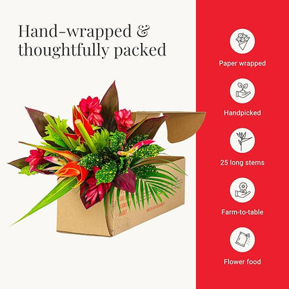 BloomsyBox: Tropical Bouquet Treasure with Bright Heliconias, Red Ginger and Tropical Greener | Fresh Cut Flowers, Hand-Tied, Farm Fresh Flowers Bouquet | Perfect for any special occasion | No Vase