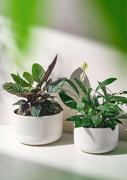 Ceramic Planters - 10+12 Inch Large Pots for Indoor & Outdoor Plants, Modern Flower Pots with Drainage Holes and Self Watering Devices, House White Big Plant Pot, Set of 2