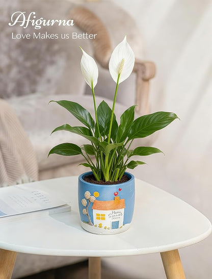 New Home Gift Ideas: Home Sweet Home Plant Gift for Plant Lover - 5.3in Hand-Painted 3D Art Planter - Gardening House Warming Gift for New Apartment Christmas