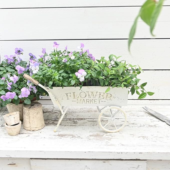 15 Inch Farmhouse Small Flower Cart with Wooden Handles Metal Wagon Planters for Outdoor Plants Decorative Wheelbarrow Plant Cart for Patio Garden Balcony Golden