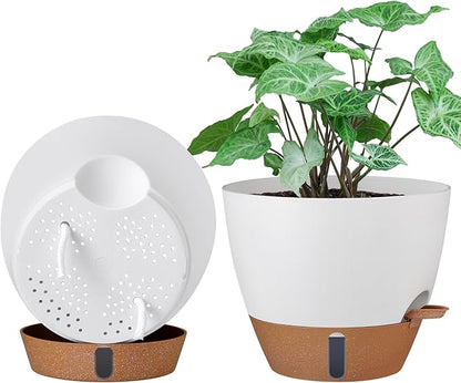 montresor 2 Pack 10 inch Plant Pots, PP Plastic Self Watering Planter with Drainage and Tray for Indoor Outdoor Plants, Water Level Window & Reservoir Flower Pots Decorative Planter (Cream, 10 Inch)