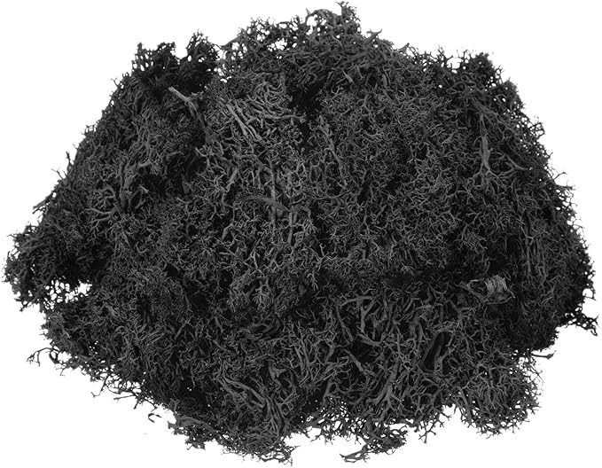 MECCANIXITY 4.6oz Preserved Reindeer Moss, Black Decorative Artificial Fake Moss for Potted Plants Indoor Crafts Lichen Centerpieces Decor