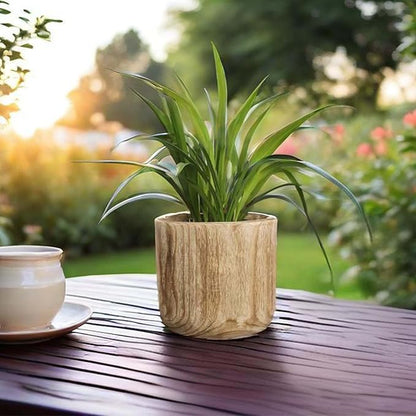 CYS EXCEL 6.25'' Burnt Finish Cylinder Planter Lightweight Natural Wood Cachepot for Indoor Plants, Succulents, Herbs, Home & Office Decor
